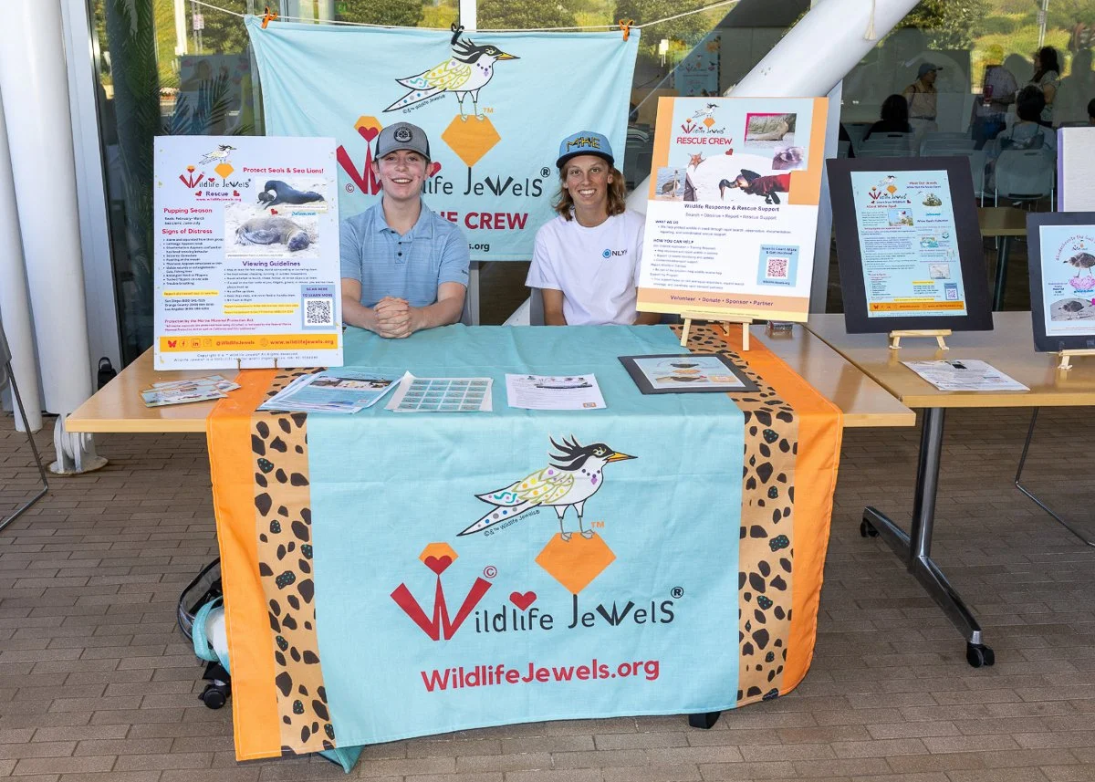 Wildlife Jewels World Wildlife Day NB-062.jpg