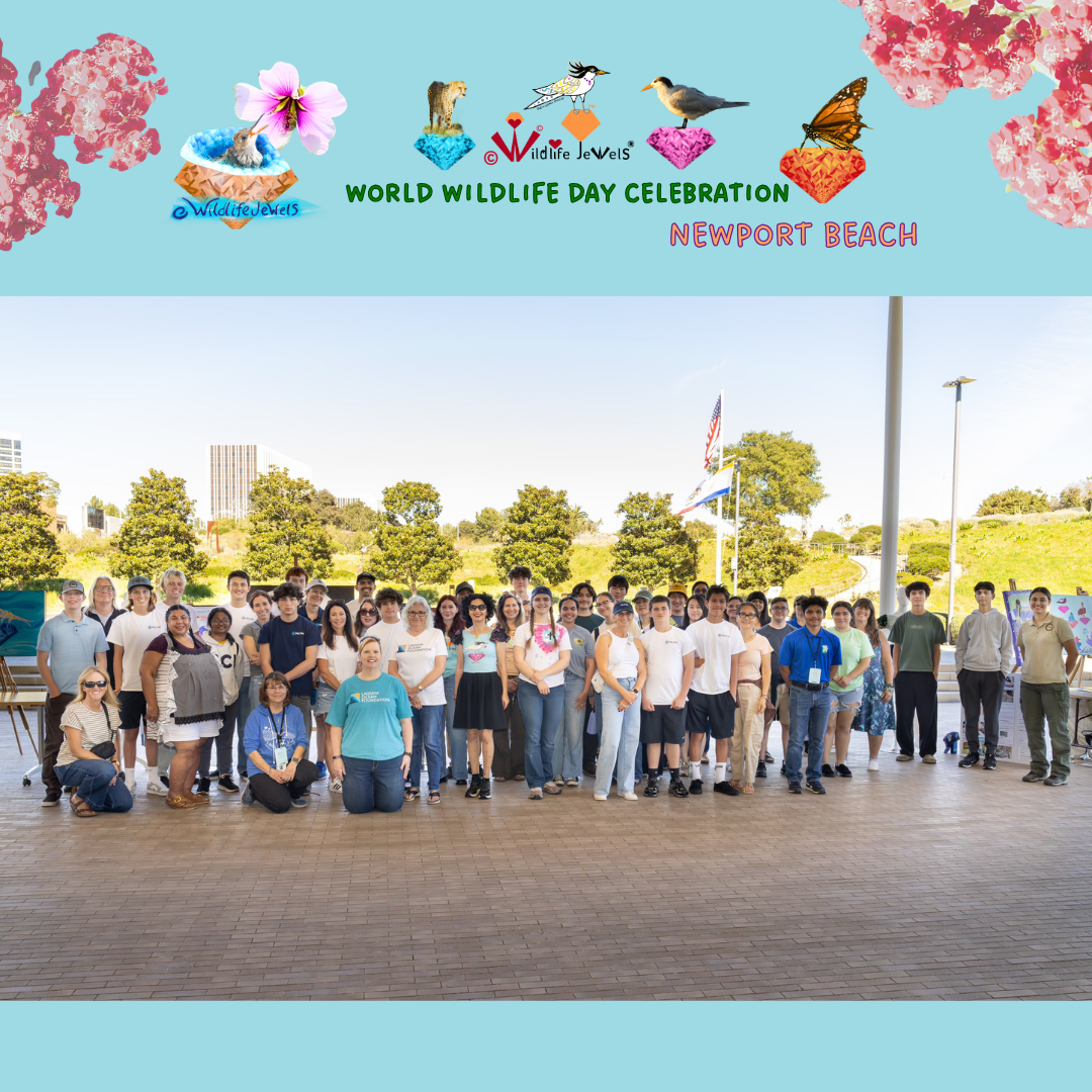 Wildlife Jewels-WWD_NB-26-12.png