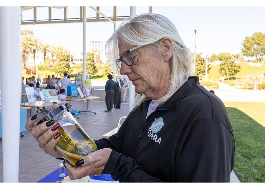 Wildlife Jewels World Wildlife Day NB-212.jpg