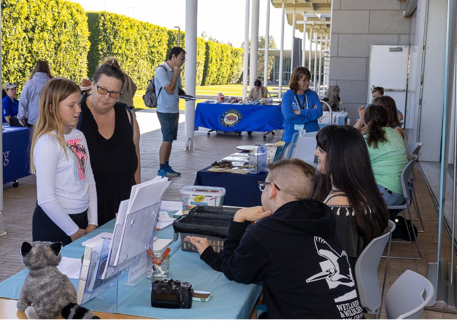 Wildlife Jewels World Wildlife Day NB-222.jpg