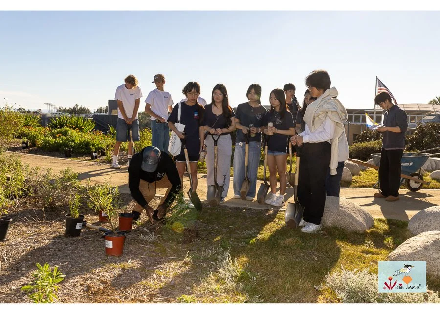 Wildlife Jewels World Wildlife Day NB-269.jpg