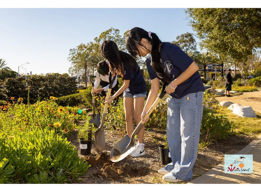 Wildlife Jewels World Wildlife Day NB-271.jpg