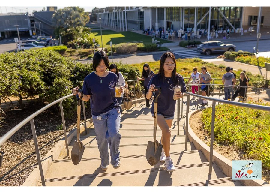 Wildlife Jewels World Wildlife Day NB-264.jpg