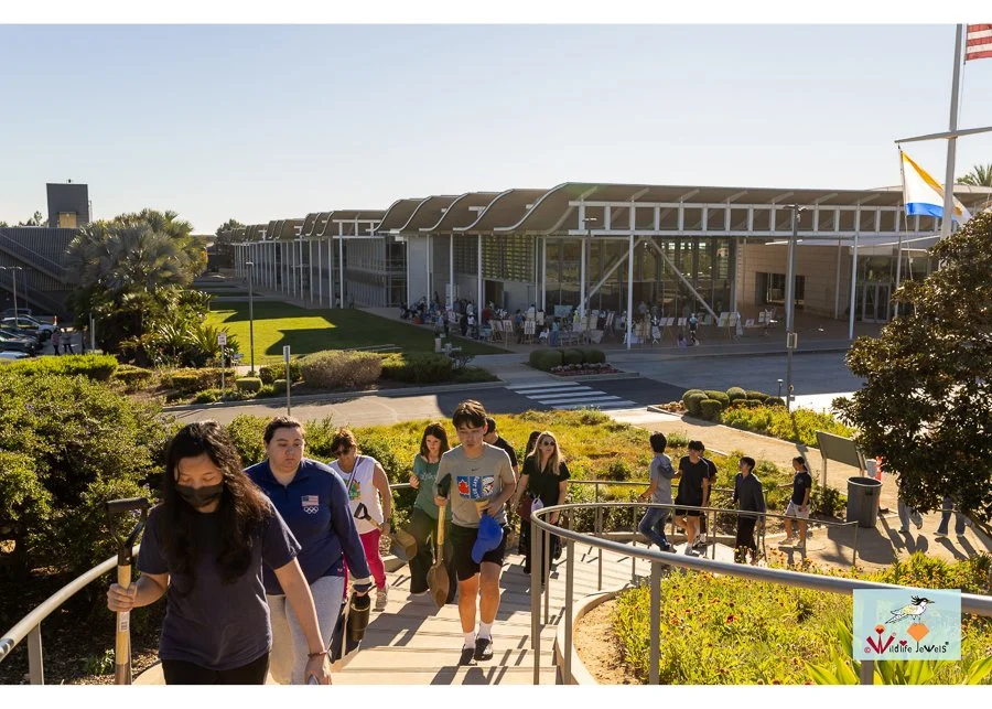 Wildlife Jewels World Wildlife Day NB-265.jpg