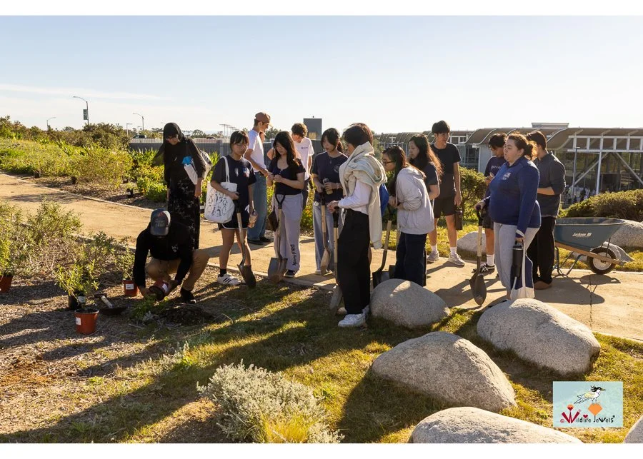 Wildlife Jewels World Wildlife Day NB-267.jpg