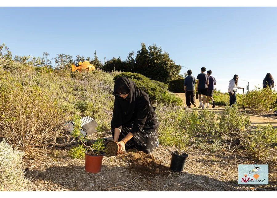 Wildlife Jewels World Wildlife Day NB-270.jpg