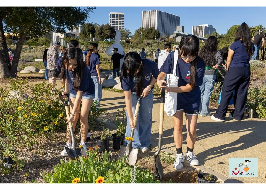 Wildlife Jewels World Wildlife Day NB-272.jpg