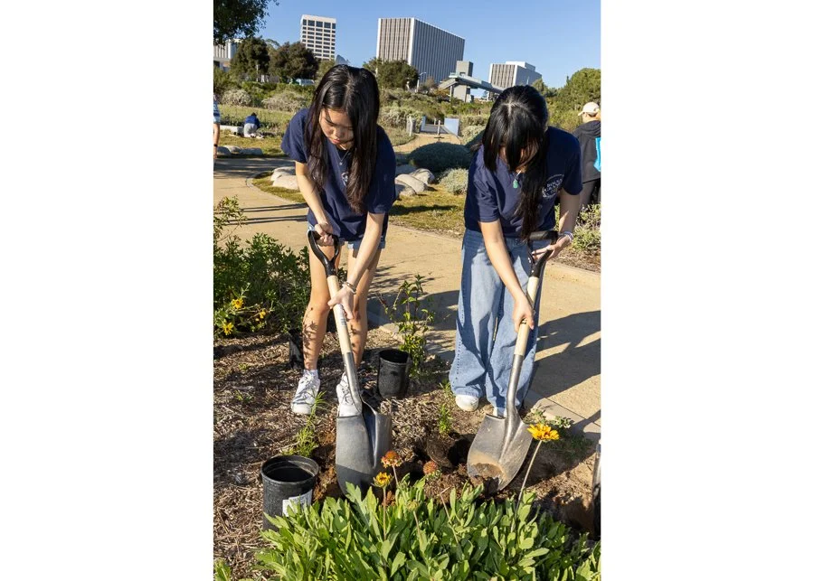 Wildlife Jewels World Wildlife Day NB-273.jpg