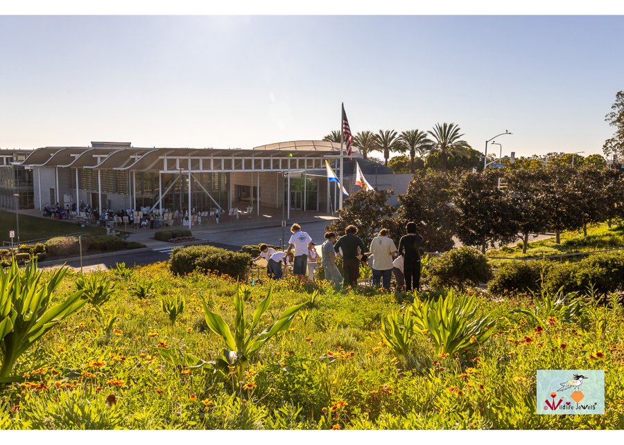 Wildlife Jewels World Wildlife Day NB-276.jpg