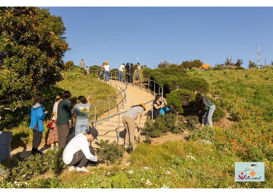 Wildlife Jewels World Wildlife Day NB-278.jpg