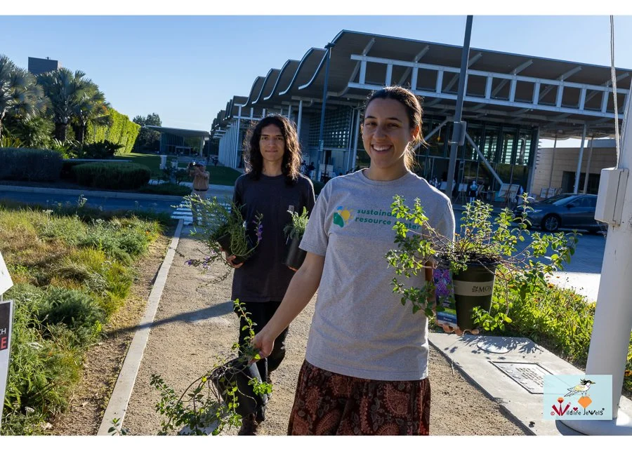 Wildlife Jewels World Wildlife Day NB-280.jpg