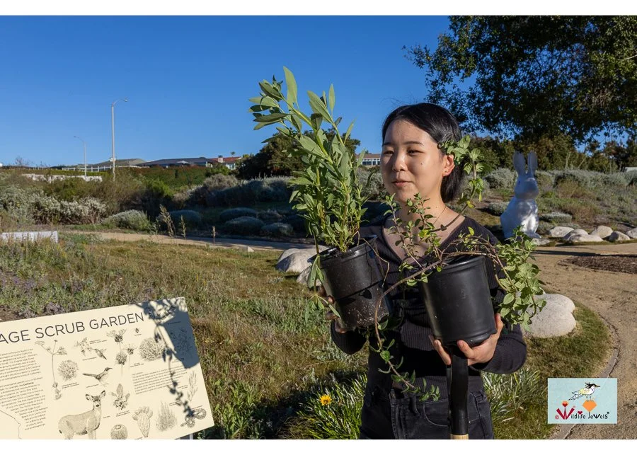 Wildlife Jewels World Wildlife Day NB-281.jpg