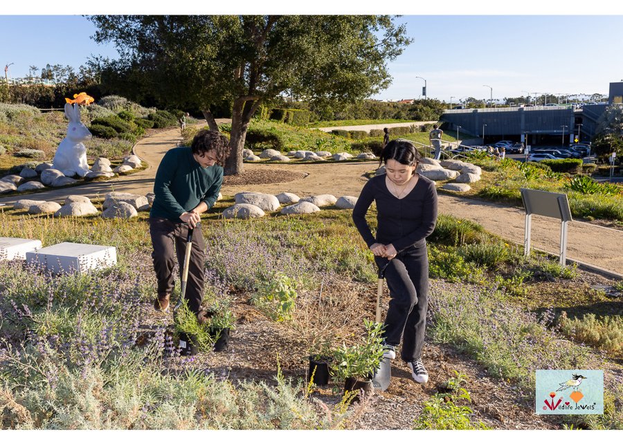 Wildlife Jewels World Wildlife Day NB-283.jpg