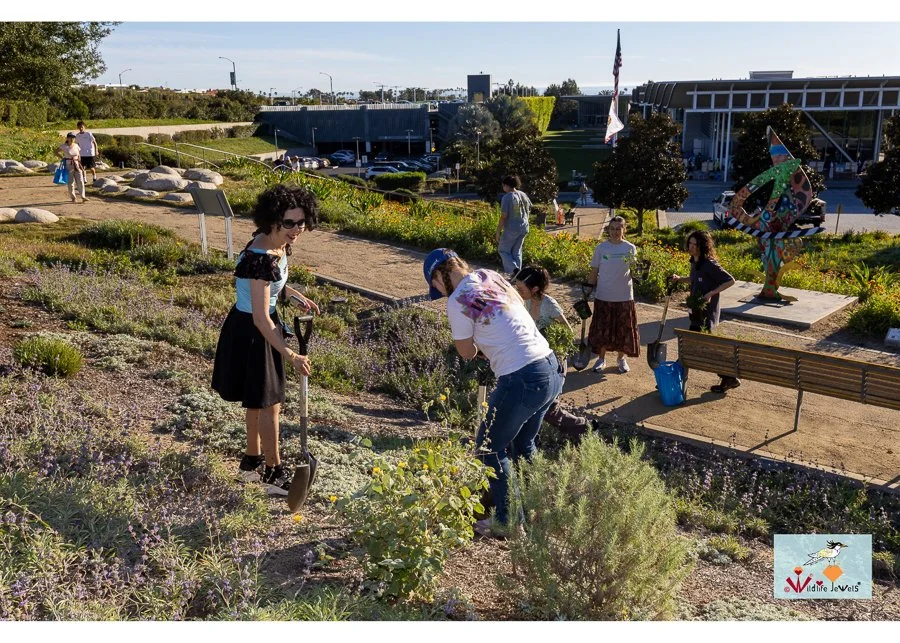 Wildlife Jewels World Wildlife Day NB-284.jpg