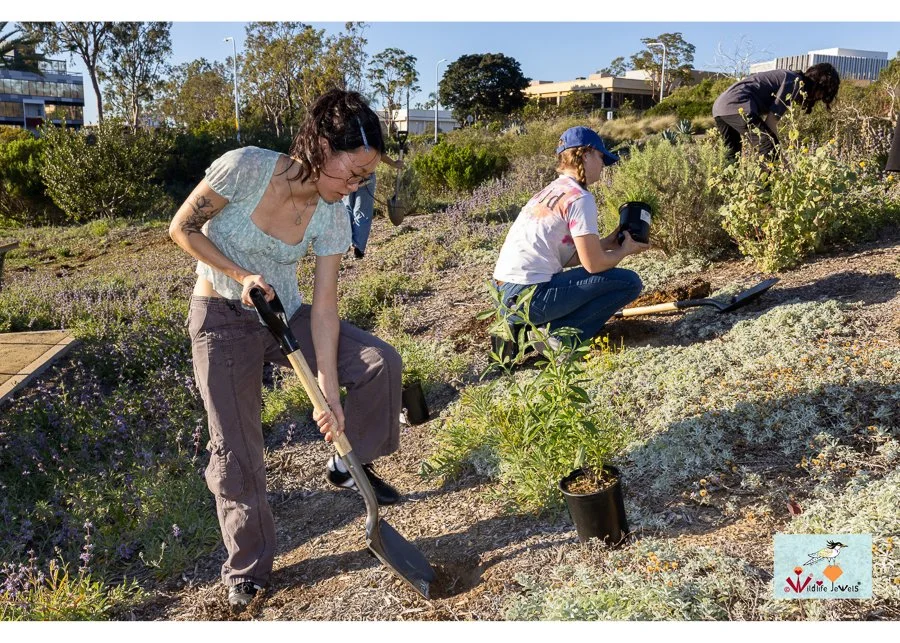 Wildlife Jewels World Wildlife Day NB-285.jpg