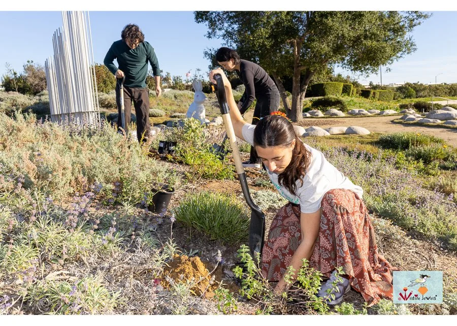 Wildlife Jewels World Wildlife Day NB-287.jpg