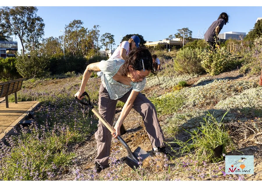 Wildlife Jewels World Wildlife Day NB-288.jpg