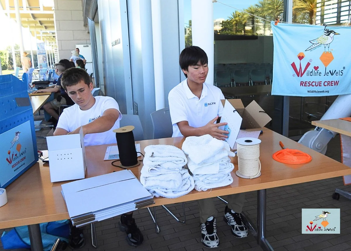 Wildlife Jewels World Wildlife Day NB-300-2.jpg