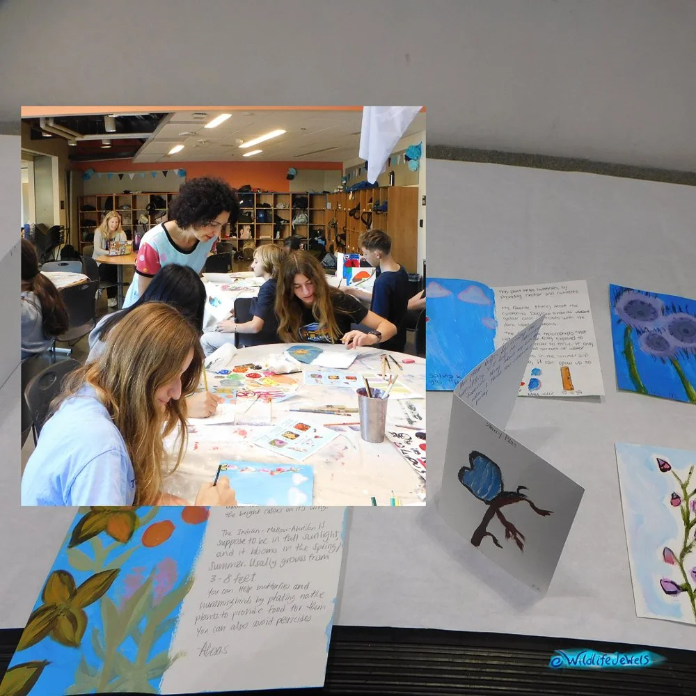 Wildlife Jewels-PacificRidgeSchool-Tri2-2025-18.jpg