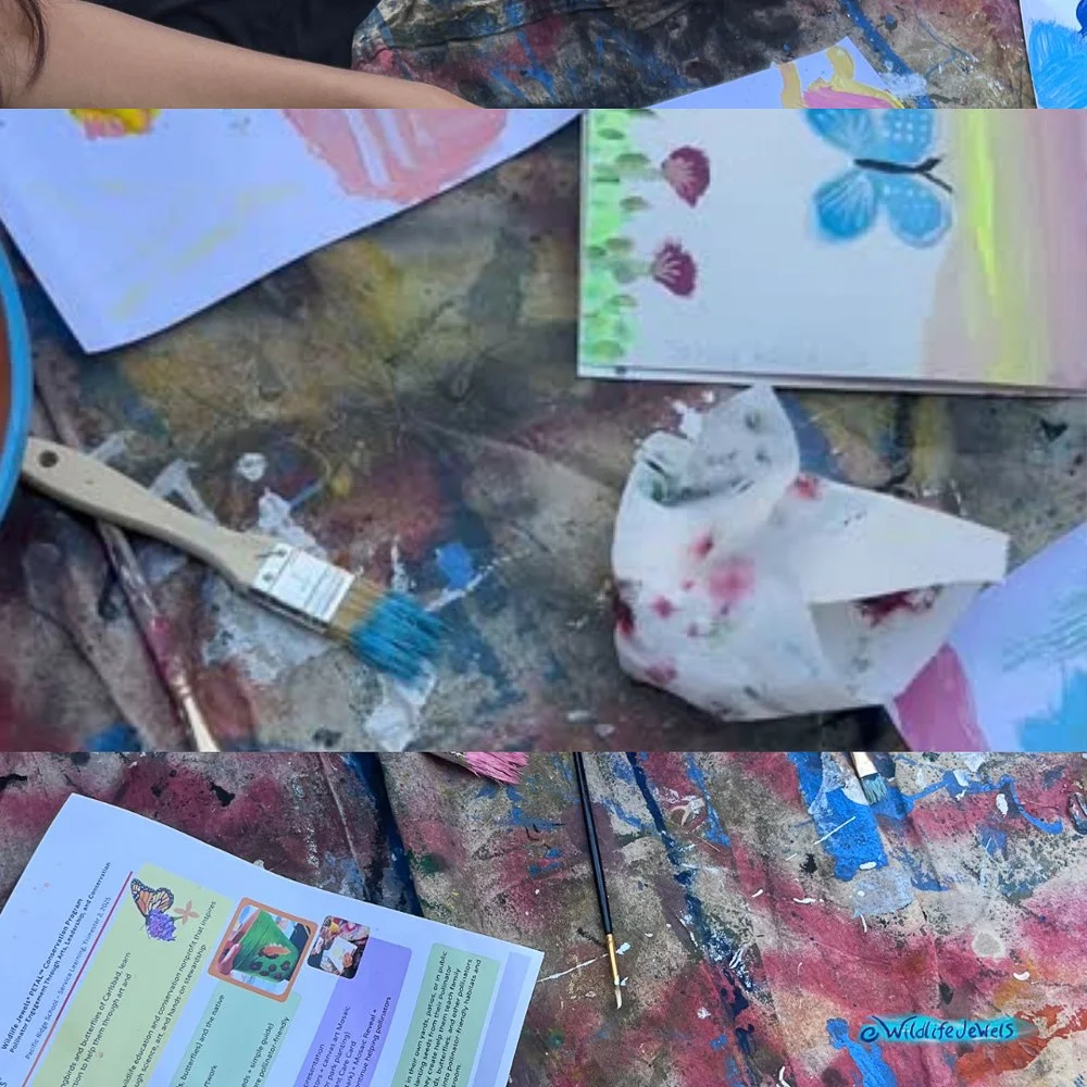 Wildlife Jewels-PacificRidgeSchool-Tri2-2025-17.jpg