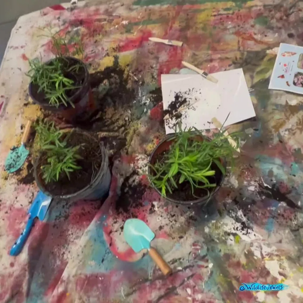 Wildlife Jewels-PacificRidgeSchool-Tri2-2025-16.jpg