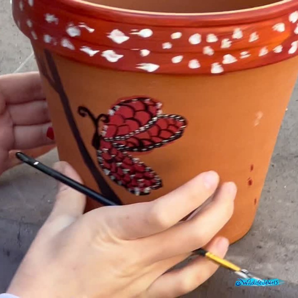 Wildlife Jewels-PacificRidgeSchool-Tri2-2025-13.jpg