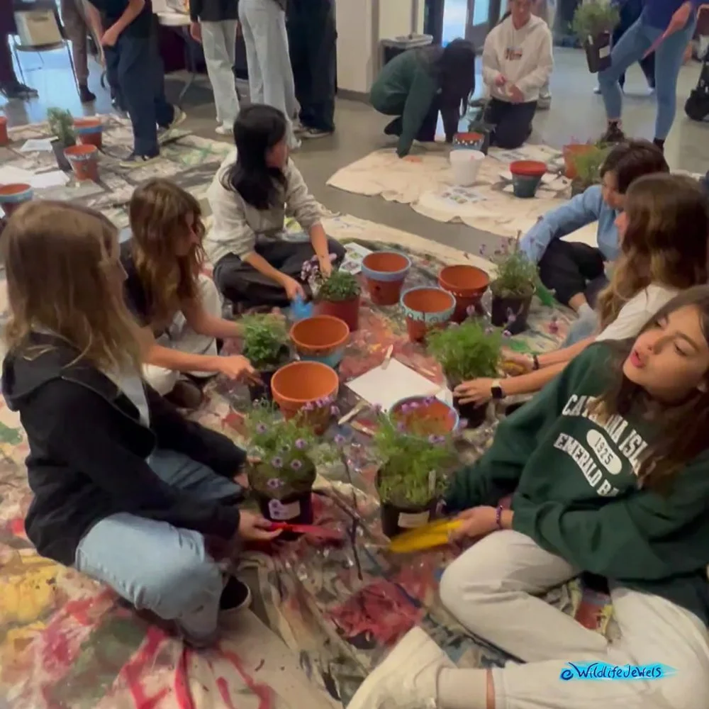 Wildlife Jewels-PacificRidgeSchool-Tri2-2025-10.jpg