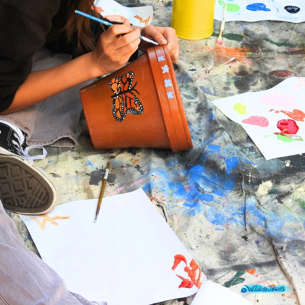 Wildlife Jewels-PacificRidgeSchool-Tri2-2025-08.jpg