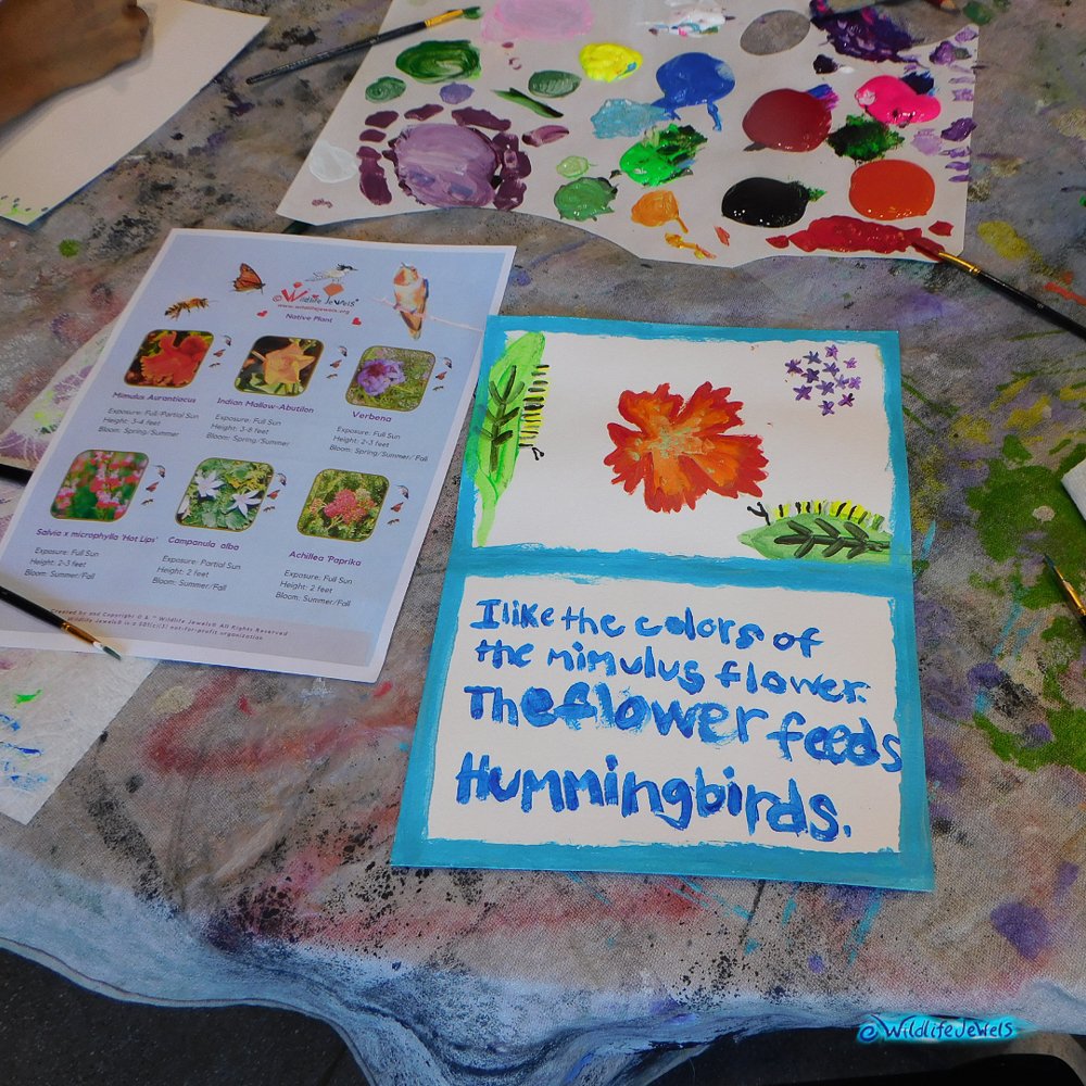 Wildlife Jewels-PacificRidgeSchool-Tri2-2025-07.jpg