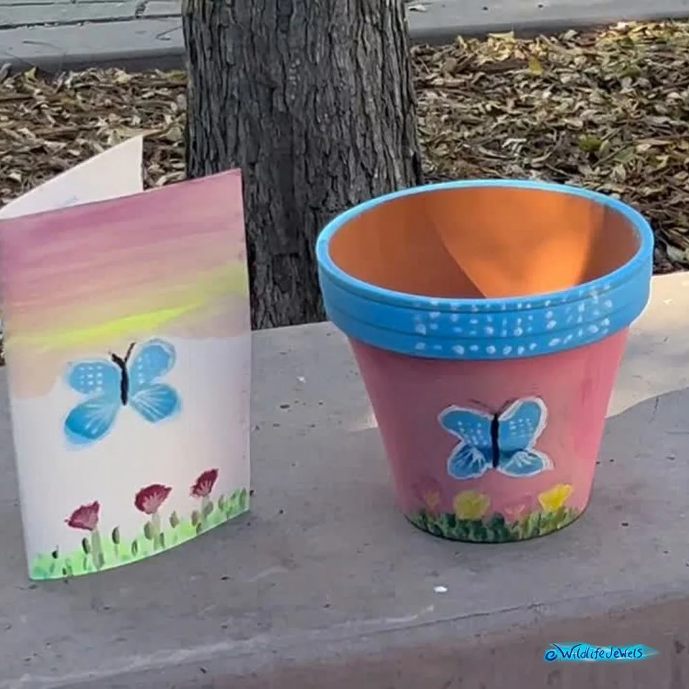 Wildlife Jewels-PacificRidgeSchool-Tri2-2025-09.jpg