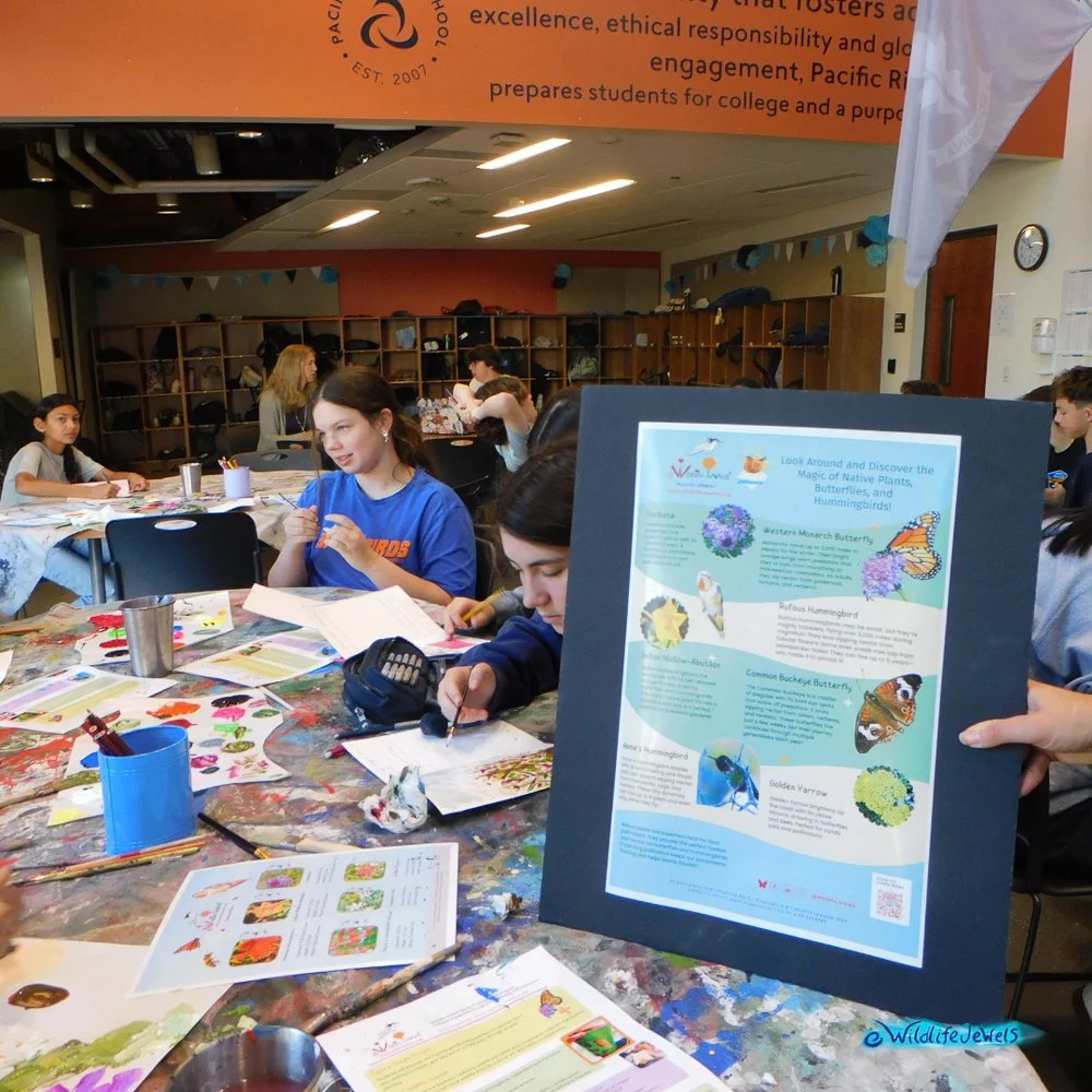 Wildlife Jewels-PacificRidgeSchool-Tri2-2025-06.jpg