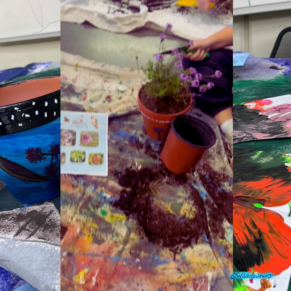 Wildlife Jewels-PacificRidgeSchool-Tri2-2025-05.jpg