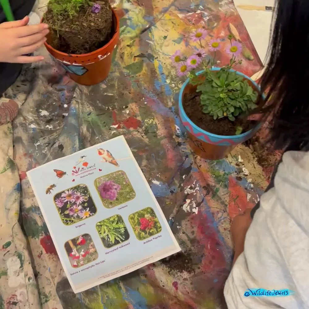 Wildlife Jewels-PacificRidgeSchool-Tri2-2025-04.jpg