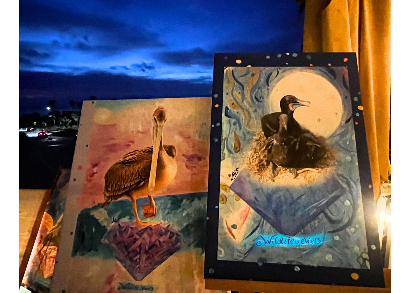 Wildlife Jewels La Jolla Cove April 9 2026-50.png