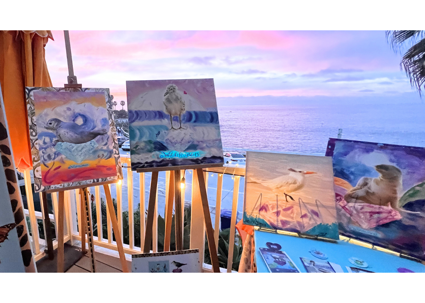 Wildlife Jewels La Jolla Cove April 9 2026-45.png