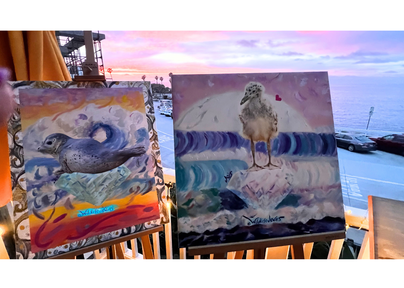 Wildlife Jewels La Jolla Cove April 9 2026-44.png