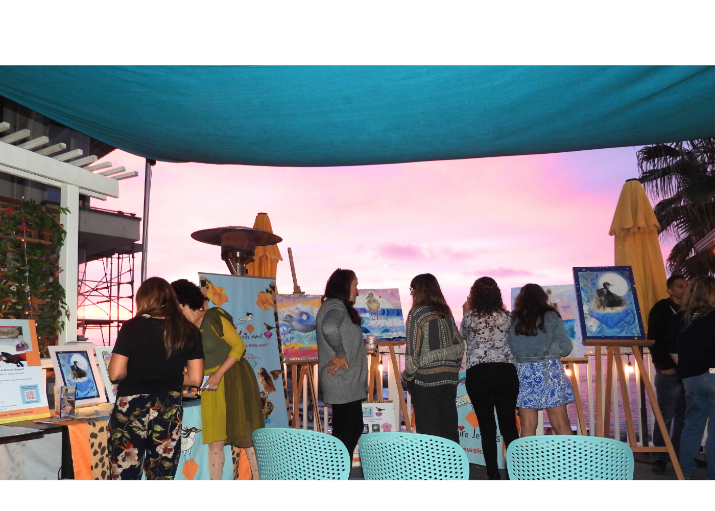 Wildlife Jewels La Jolla Cove April 9 2026-43.png