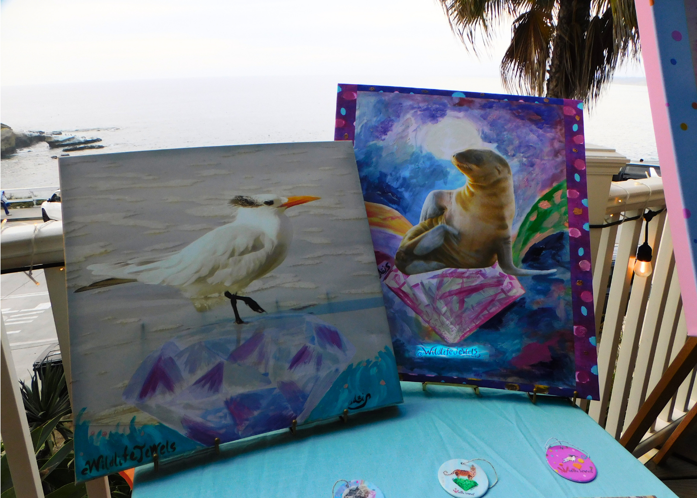 Wildlife Jewels La Jolla Cove April 9 2026-25.png