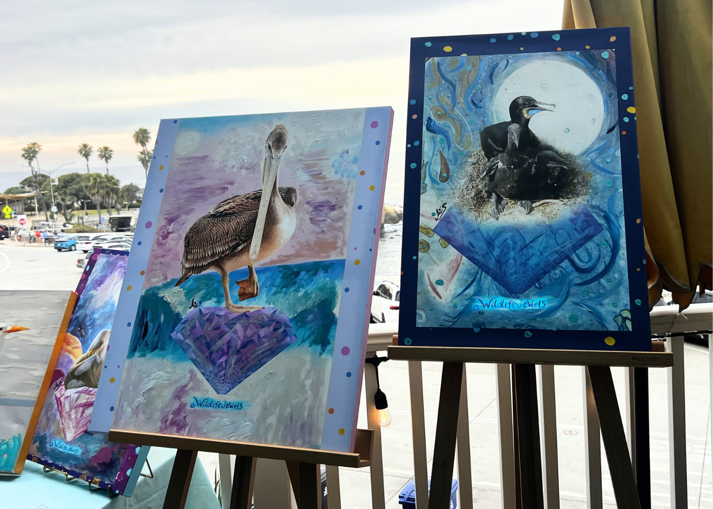 Wildlife Jewels La Jolla Cove April 9 2026-21.png