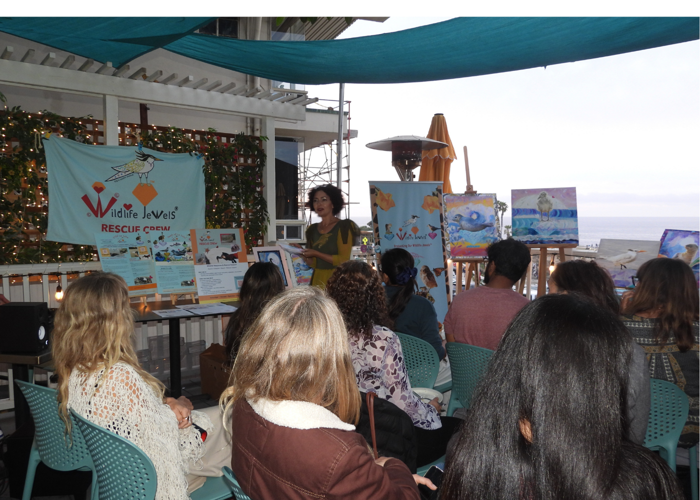 Wildlife Jewels La Jolla Cove April 9 2026-18.png