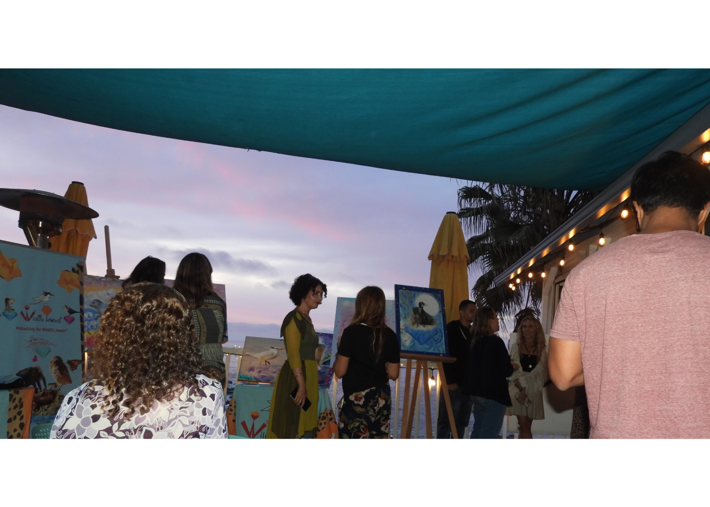 Wildlife Jewels La Jolla Cove April 9 2026-12.png