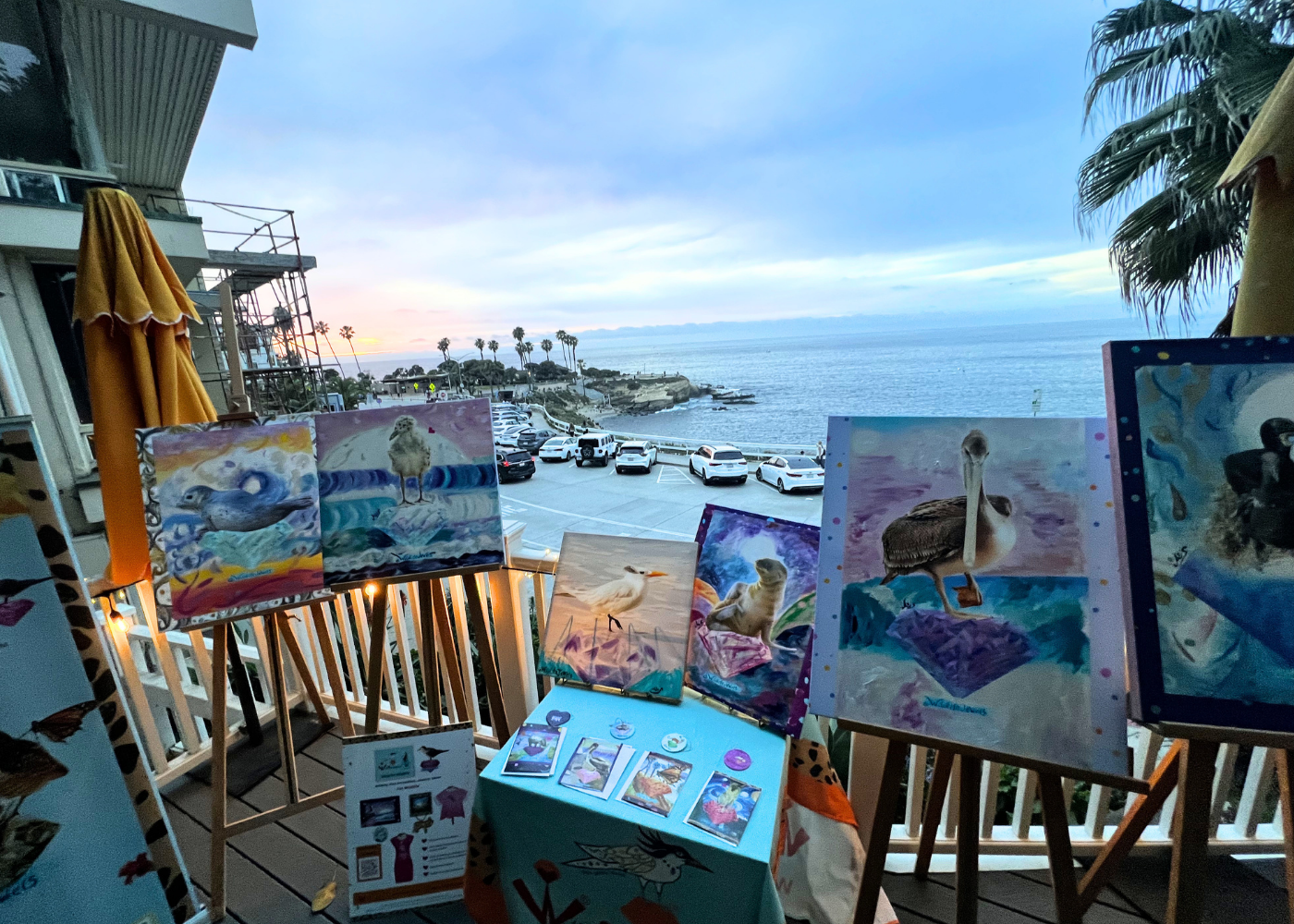 Wildlife Jewels La Jolla Cove April 9 2026-07.png