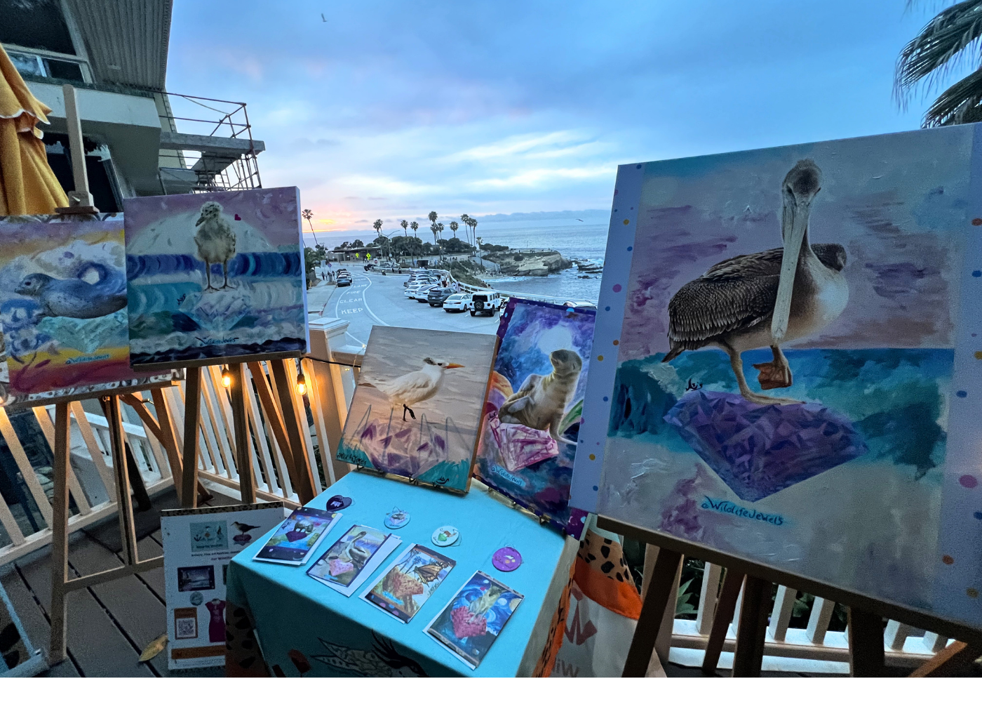 Wildlife Jewels La Jolla Cove April 9 2026-05.png