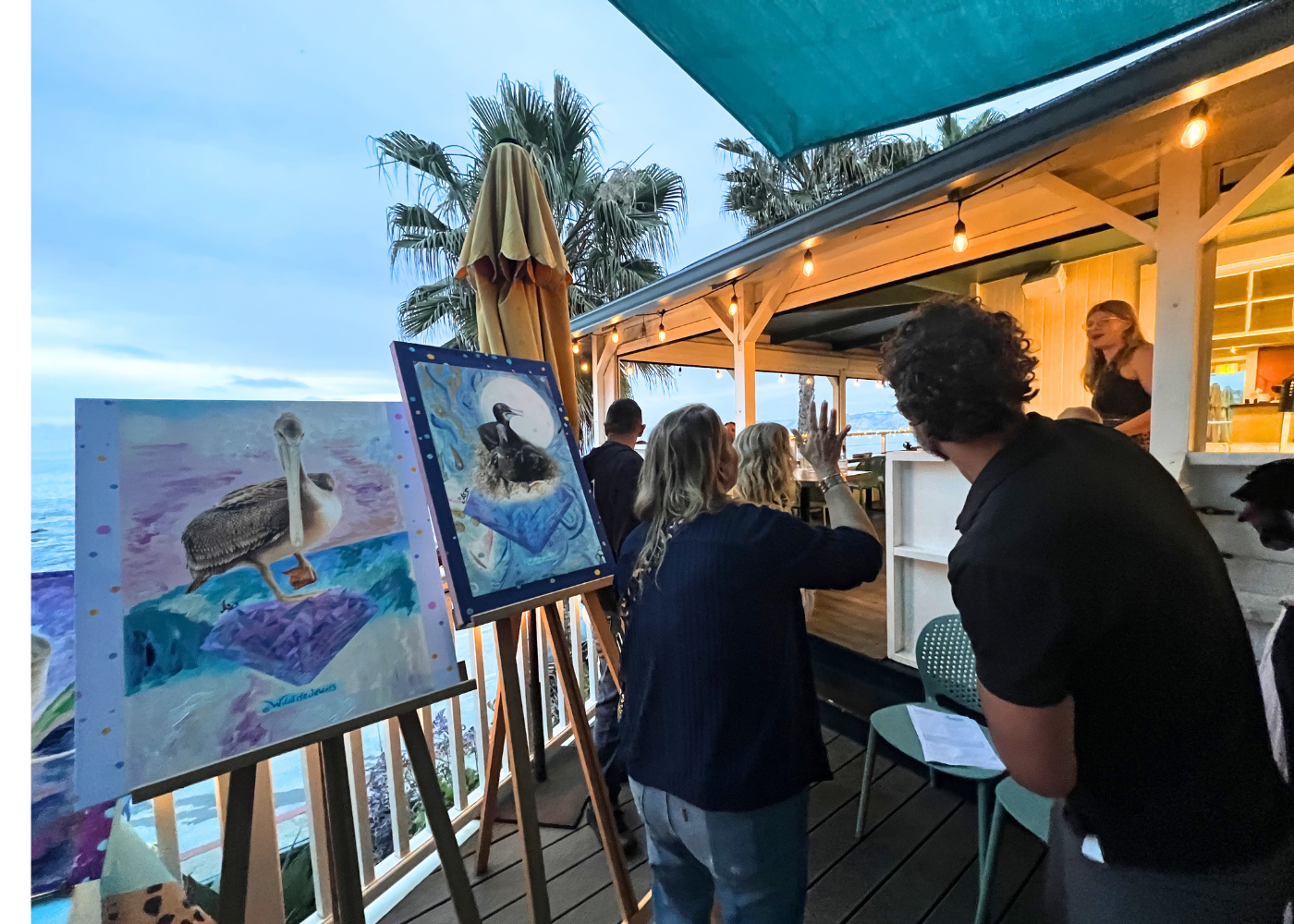 Wildlife Jewels La Jolla Cove April 9 2026-03.png