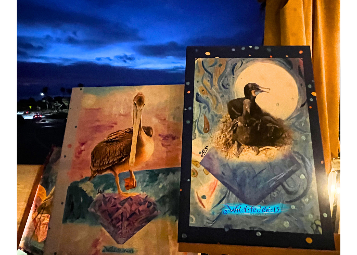 Wildlife Jewels La Jolla Cove April 9 2026-50.png