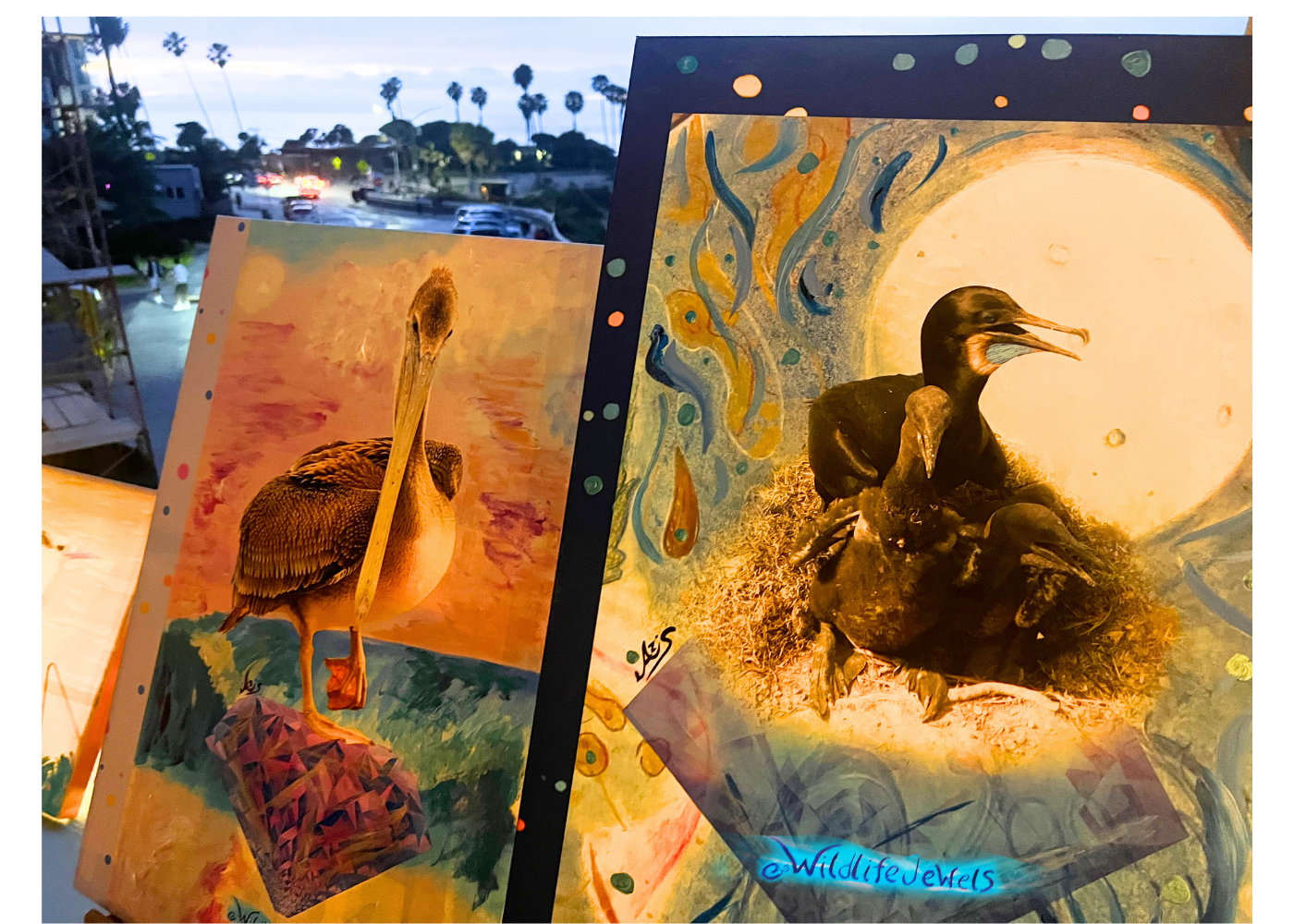 Wildlife Jewels La Jolla Cove April 9 2026-49.png