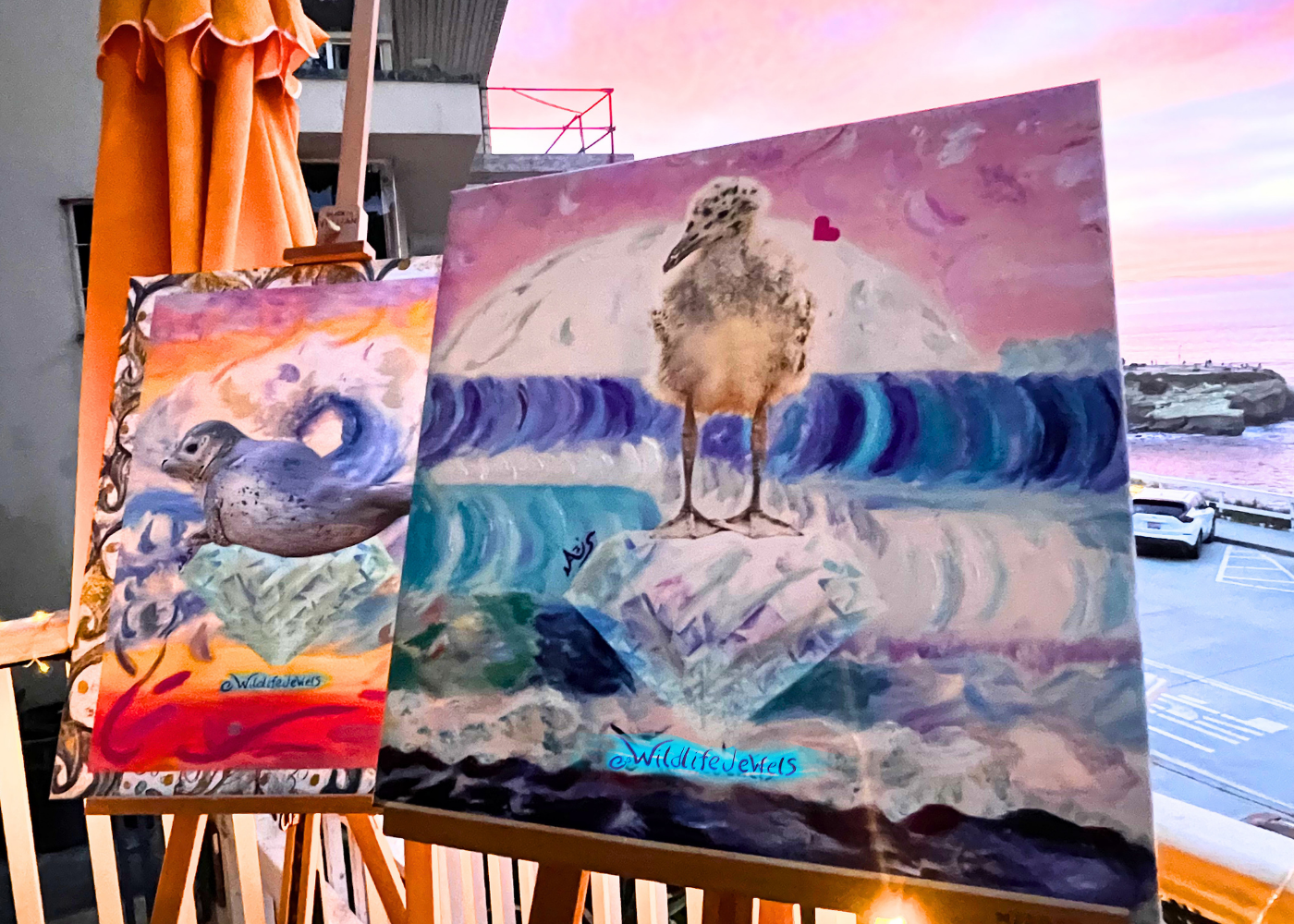 Wildlife Jewels La Jolla Cove April 9 2026-46.png