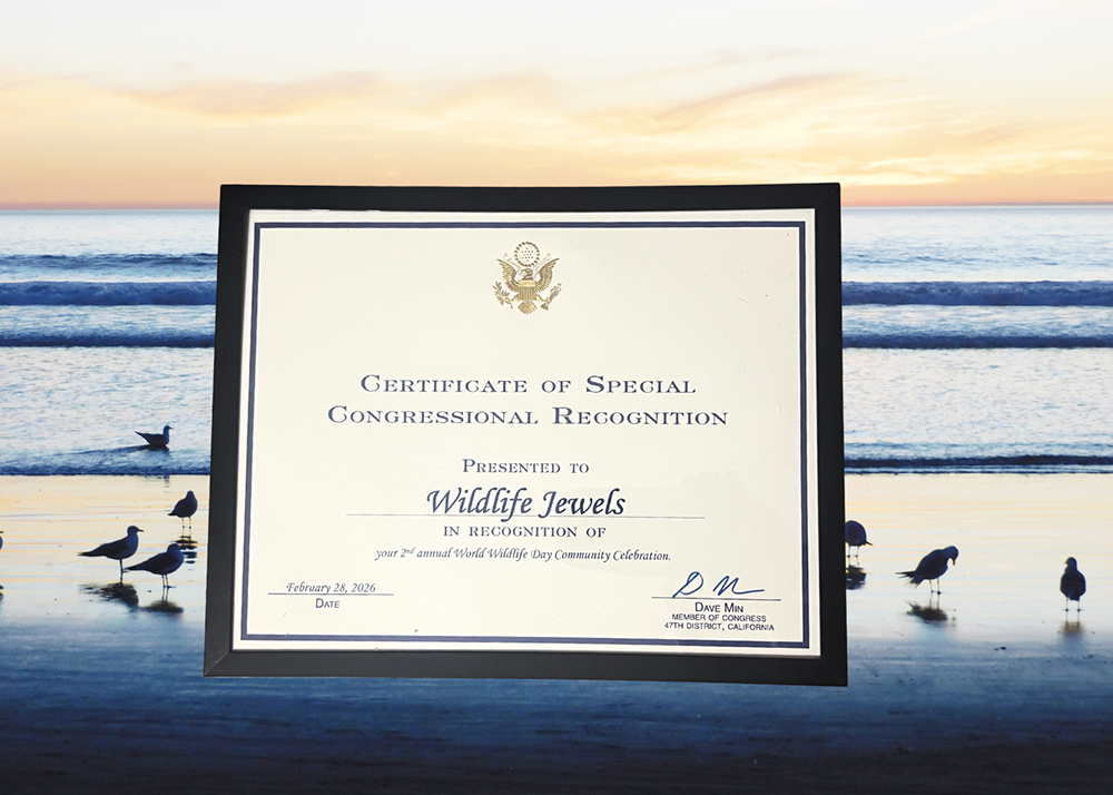 Wildlife Jewels Congressional Certificate-8s.png