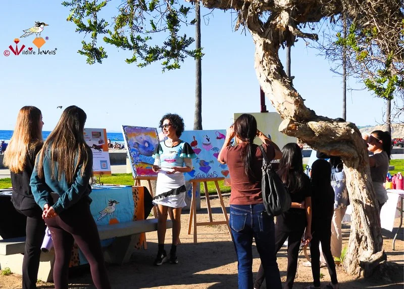 Wildlife Jewels La Jolla-11.jpg