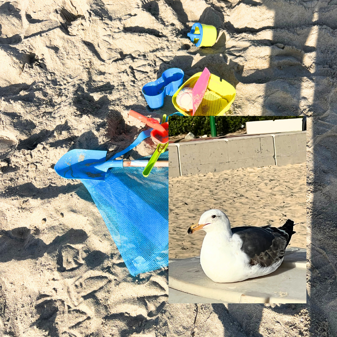Wildlife Jewels  Earth Day CDM Cleanup 2026-16.png